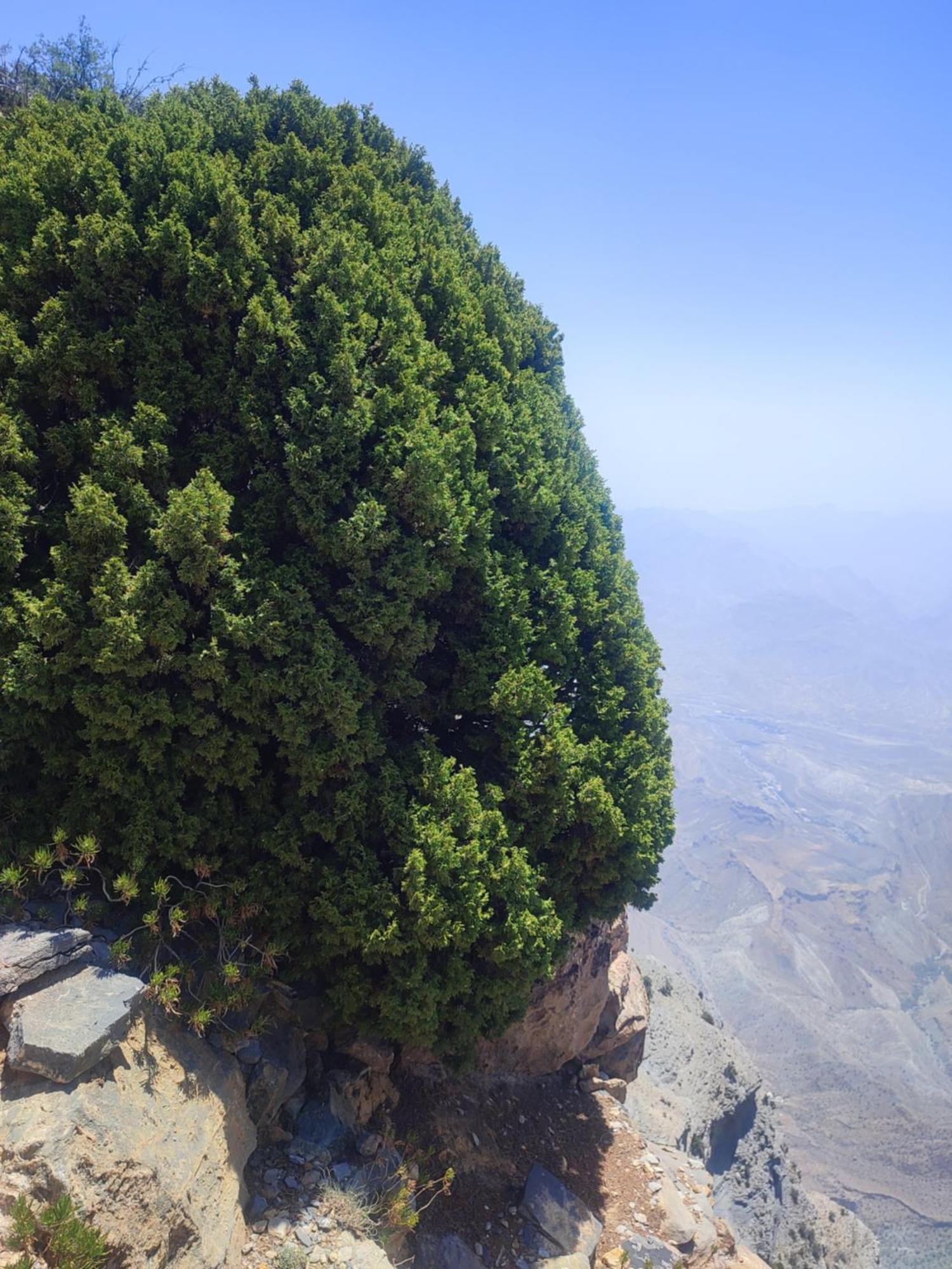 Stone Rest House Jebel Shams Al Ḩamrāʼ Eksteriør billede